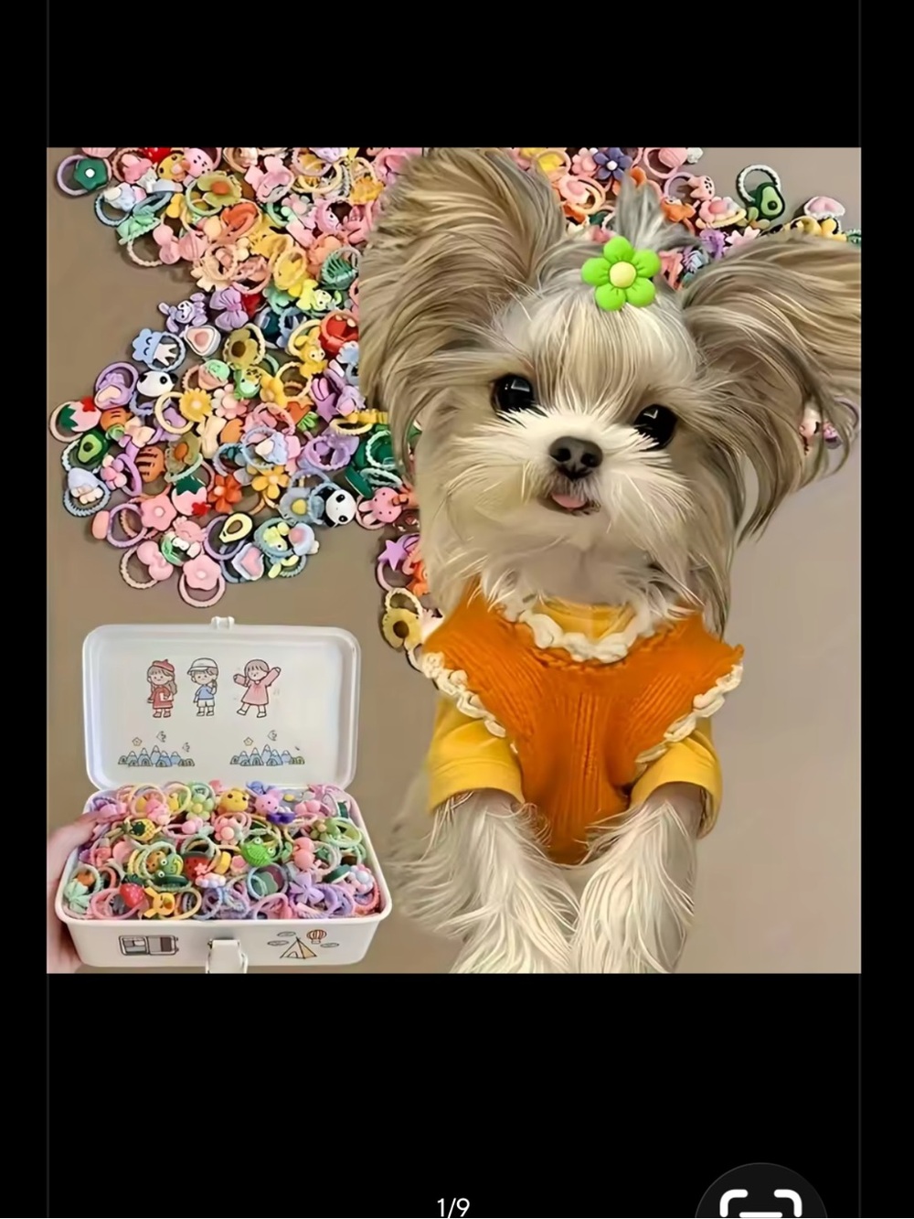 ❤️ “”I’M LOOKING FOR A VERY SMALL PUPPY DOG”” (NOT A DESIGNER DOG) ❤️